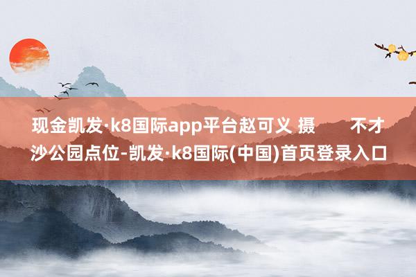 现金凯发·k8国际app平台赵可义 摄       不才沙公园点位-凯发·k8国际(中国)首页登录入口